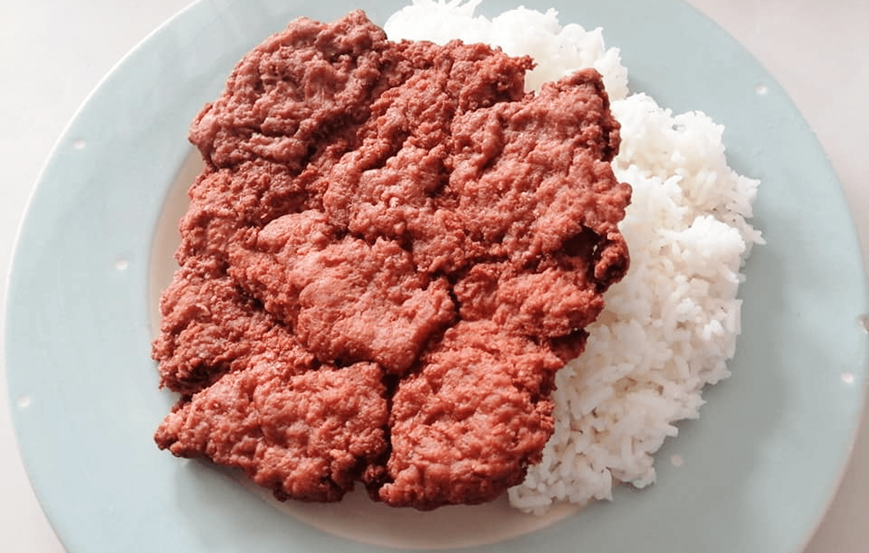 ข้าวหมูสับปั้นทอด